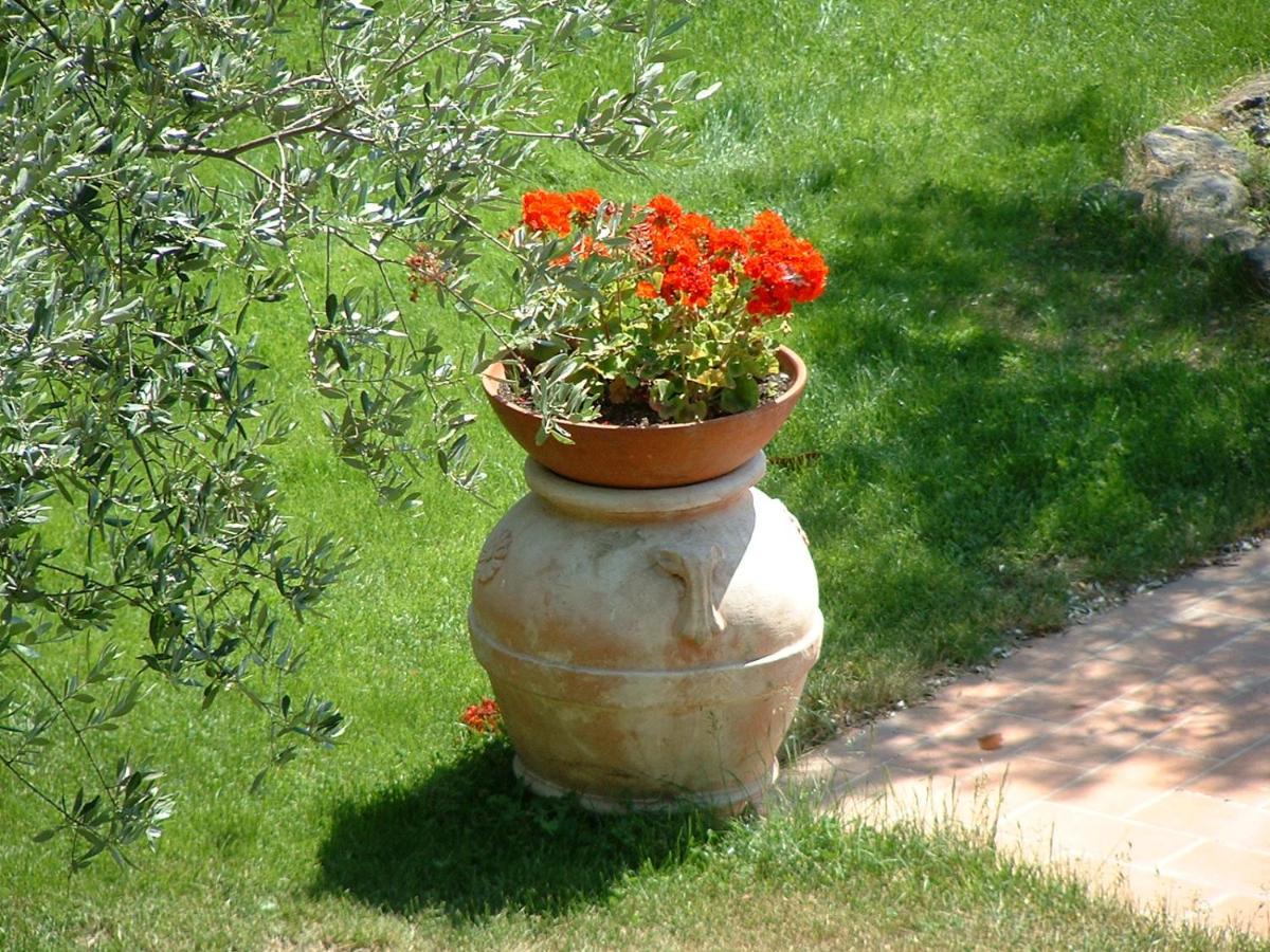 La Riserva Montebello Bolsena Eksteriør billede